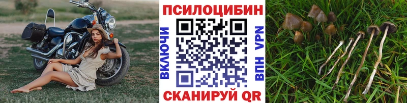 Псилоцибиновые грибы GOLDEN TEACHER Лениногорск